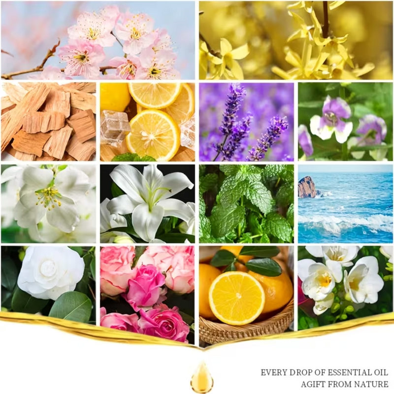 3Pcs Plant Essential Oil (Lave - Candle Making Essential Oil のレビューと価格