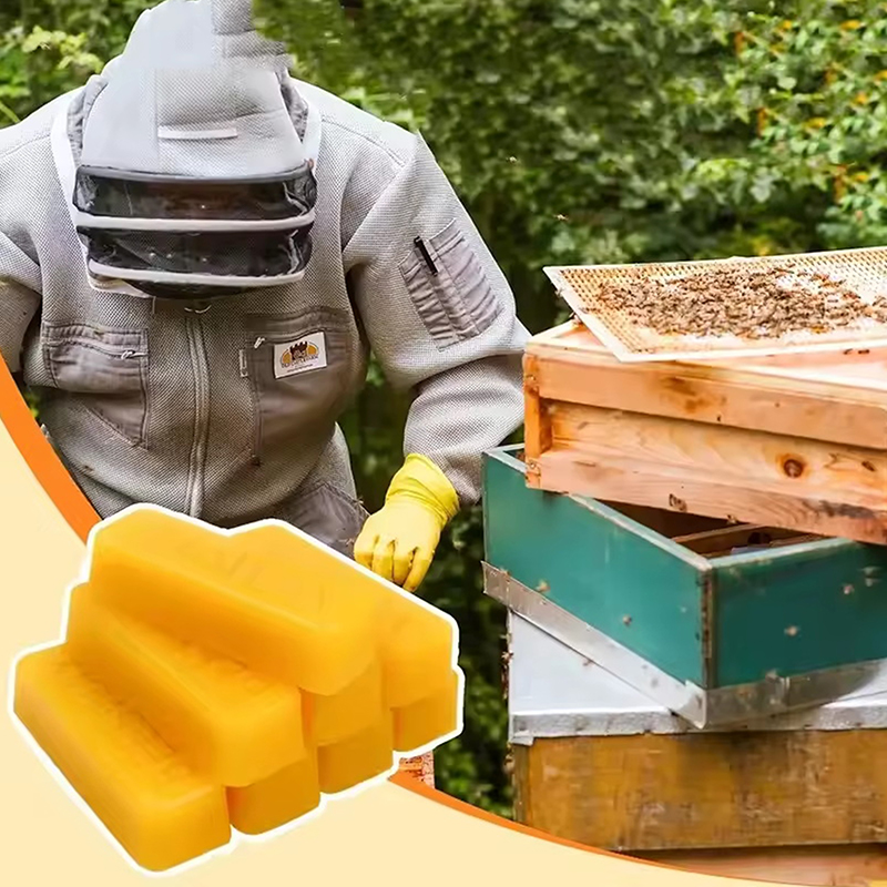 Hot Sale 4/8pcs Pure Beeswax B - Candle Making Video のレビューと価格